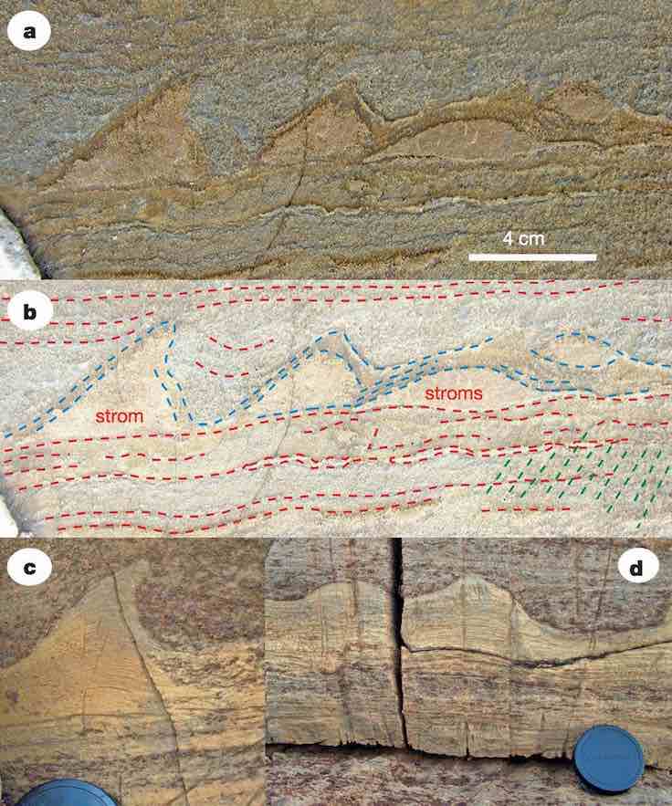 A ve B'de (mavi çizgiler) gördüğünüz fotoğraf Grönland'da bulunan dünyanın en yaşlı fosilleri ve katmanları gösteriyor. C ve D ise Avustralya'da bulunan 3,5 miyar yıllık fosiller.