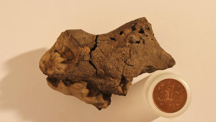 penny-ve-dinozor-dokusu-fosili