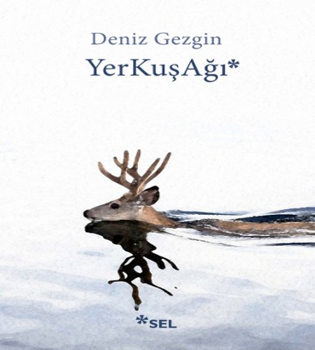 YerKuşAğı, Deniz Gezgin, Sel Yayınları, 2017.