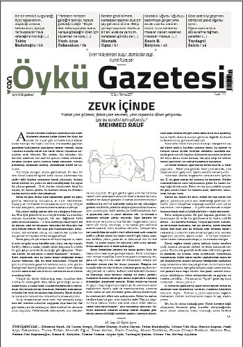 Öykü Gazetesi, Temmuz 2017.