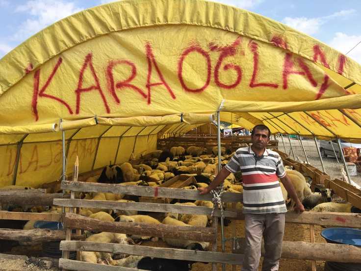 Erhan Yalçın hayvanlarını satabilmek için Kırşehir'den Ankara'ya geldi.